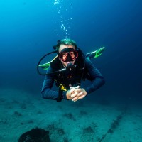 Gone Diving in Amed thumbnail