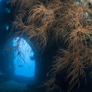 Diving on the USAT Liberty Shipwreck in Tulamben, Bali thumbnail