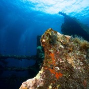 The Liberty Wreck in Tulamben thumbnail
