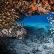 Amazing dive on the Japanese Shipwreck in Amed, Bali thumbnail