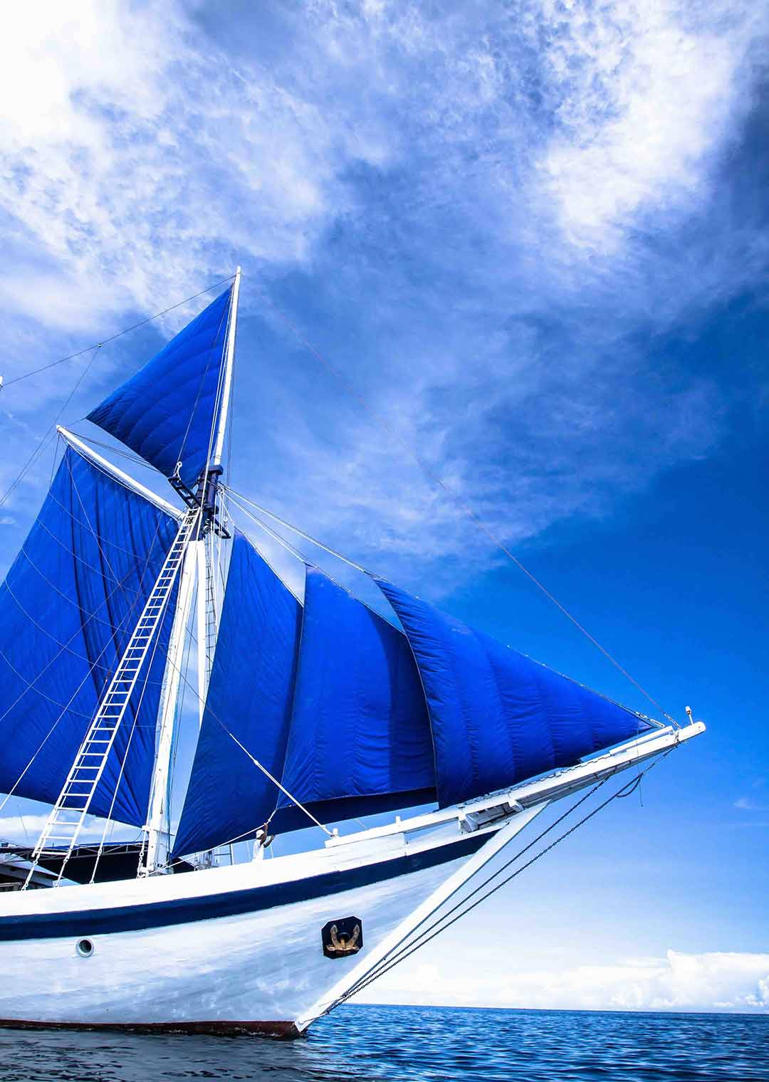 10 Days Raja Ampat Snorkeling Cruise