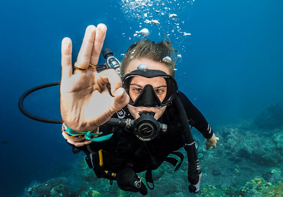 Get certified Open Water while Diving on the Liberty Shipwreck