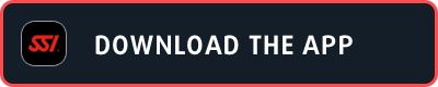 SSI Download Button