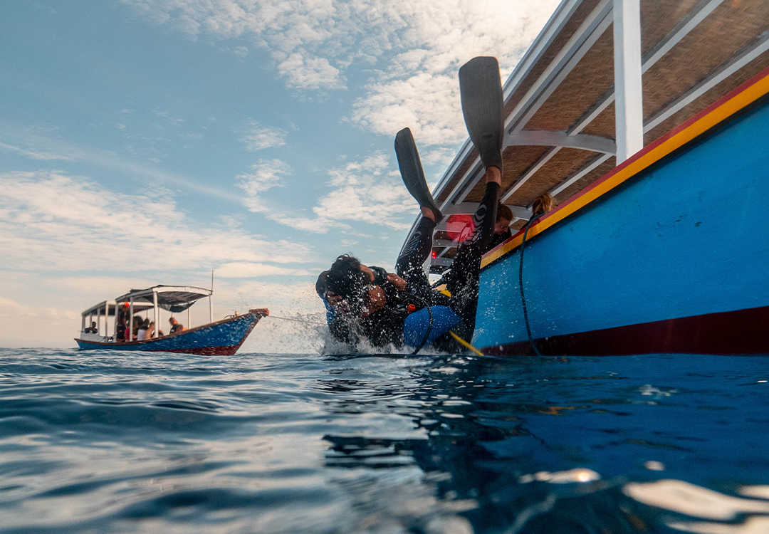 Open Water Course in Pemuteran and Menjangan