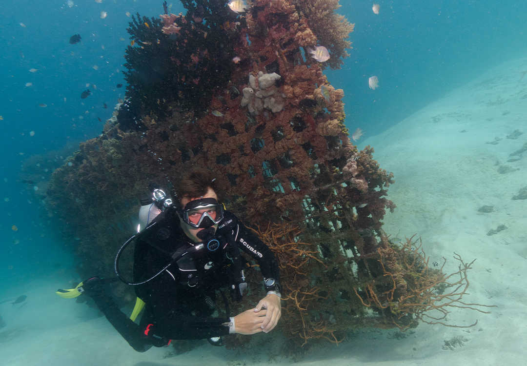 Dive Master Training in Pemuteran