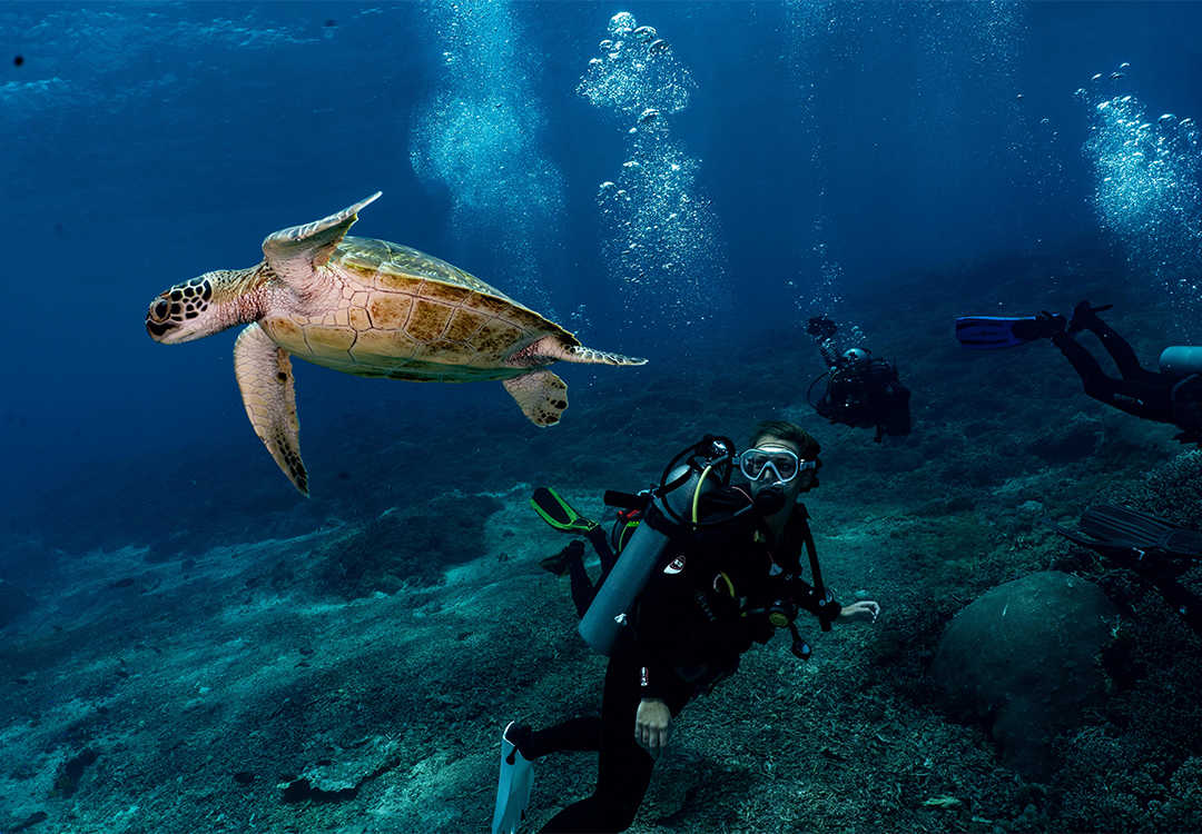 Open Water Course in Nusa Lembongan/Penida