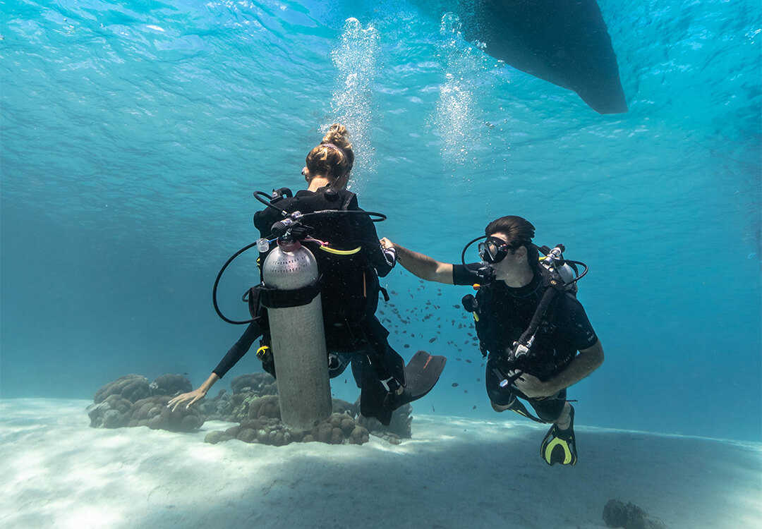 Day Trip Try Scuba Diving to Menjangan Marine Park