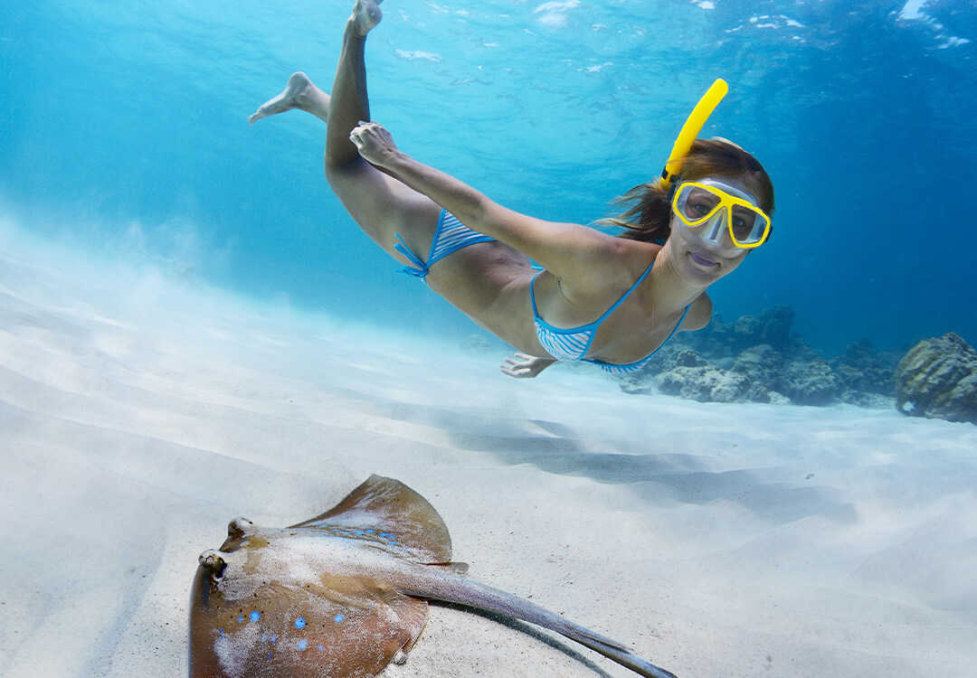 Snorkeling Pemuteran Tab