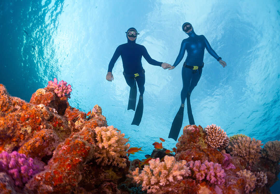 Snorkeling Trip to Amed