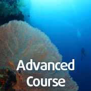 Advanced Course in Pemuteran
