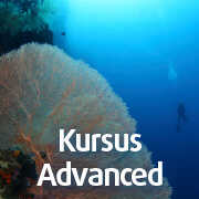 Kursus Advanced di Pemuteran