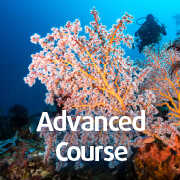 Advanced course in Tulamben