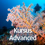 Kursus Advanced di Tulamben
