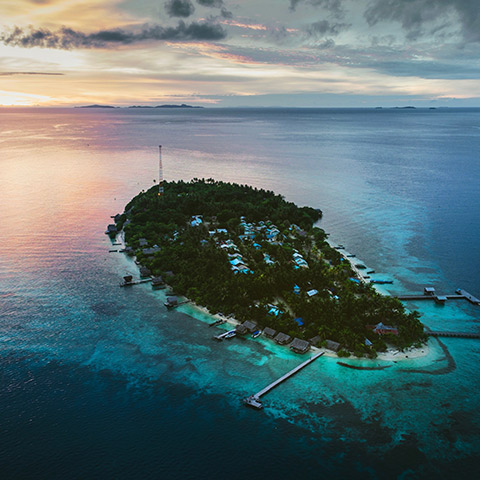 Arborek Raja Ampat