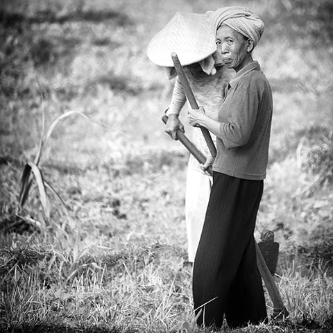 Balinese People