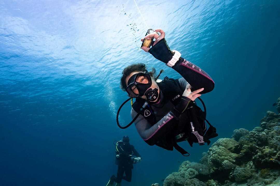 Start your Dive Master Course in Tulamben
