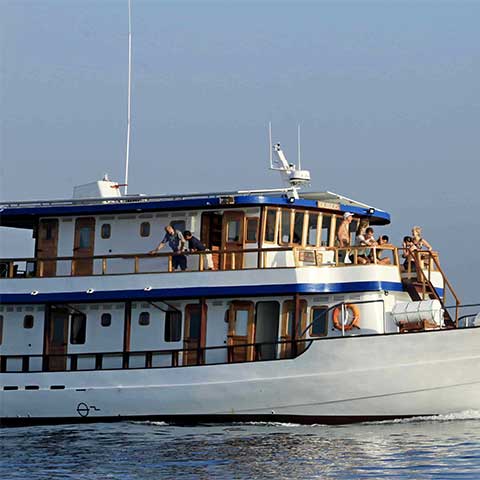 Sustainable Liveaboard 4 Cabin Layout