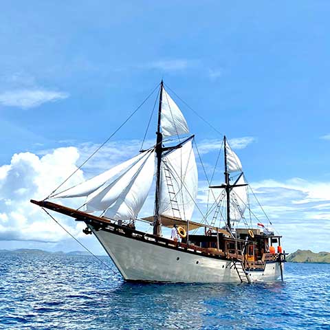 Comfort Charter 3 Cabins