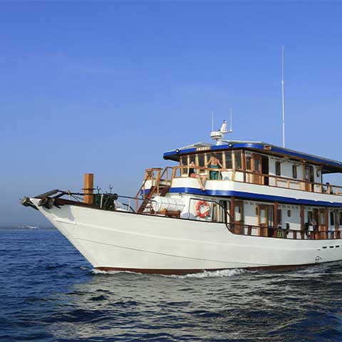 Comfort Sustainable 4 Cabins