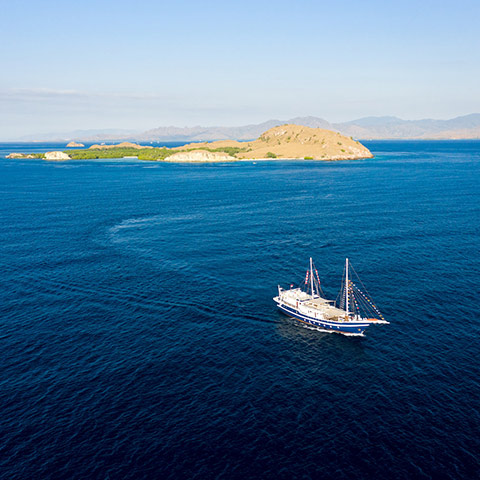 Cruise Liveaboard Komodo
