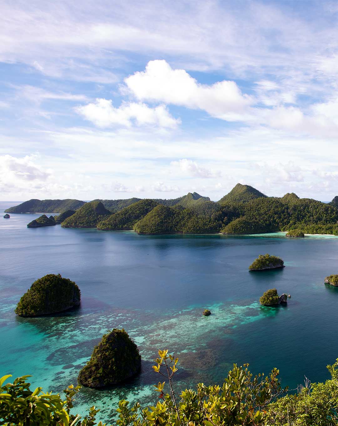 Cruise Raja Ampat 7 Nights