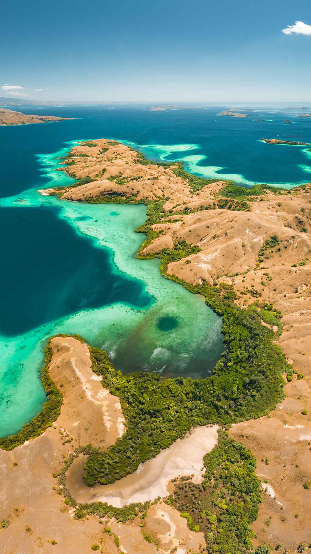 Dive Liveaboards and Cruises Komodo