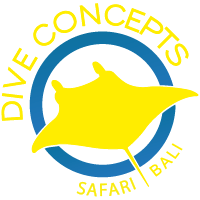 Logo Dive Concepts Safari