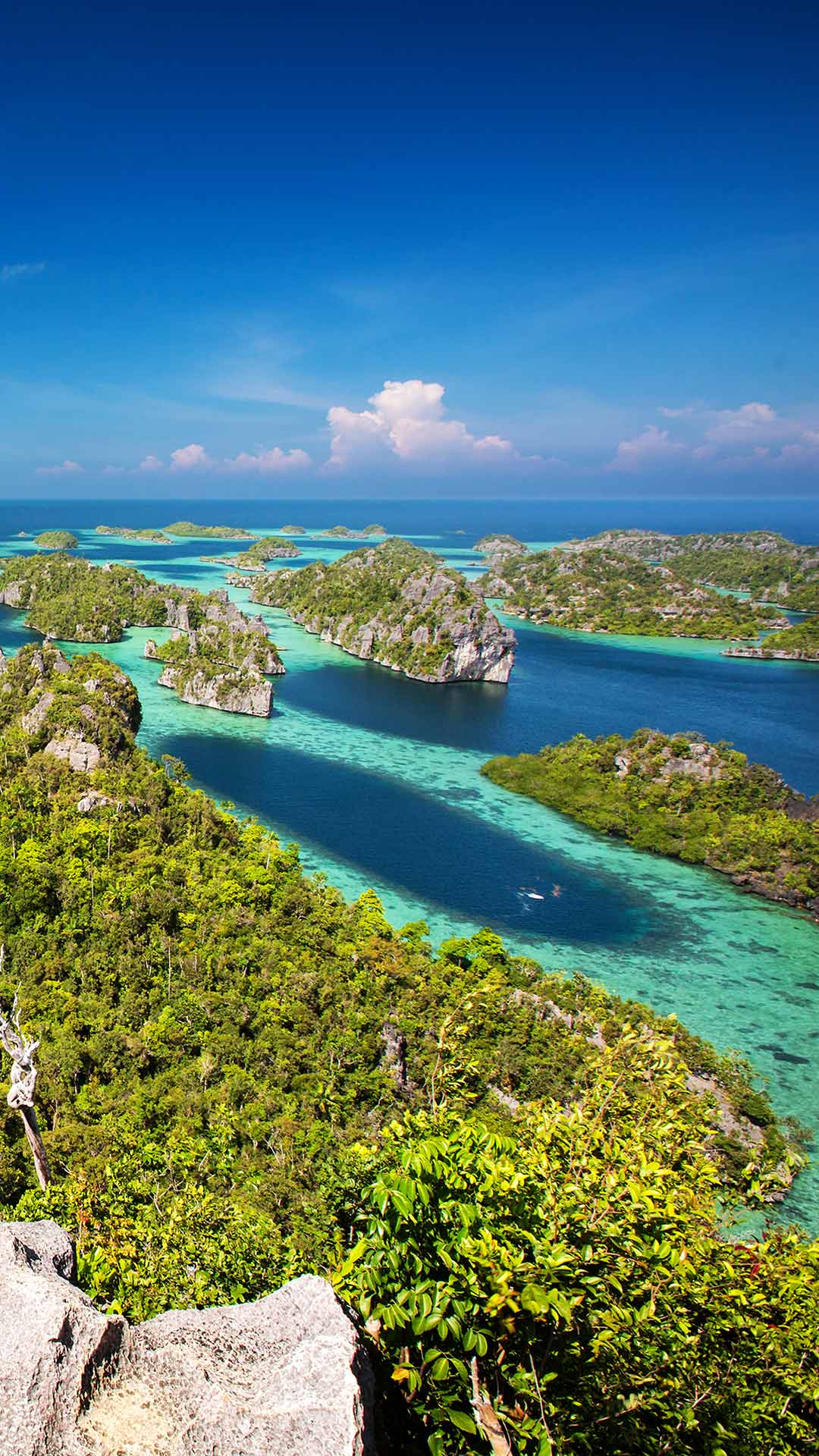 Raja Ampat Dive Liveaboards