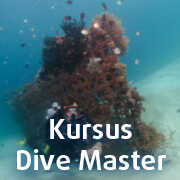 Kursus Divemaster di Pemuteran