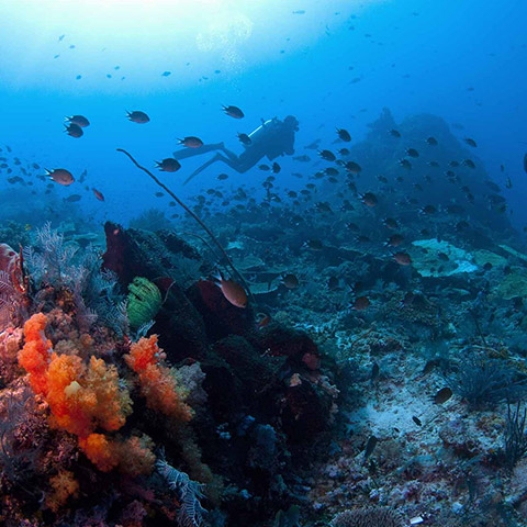 Drift Diving in Crystal Rock Komodo