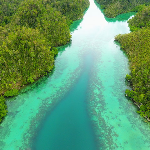 Enjoy Kayaking and Paddling in Misool
