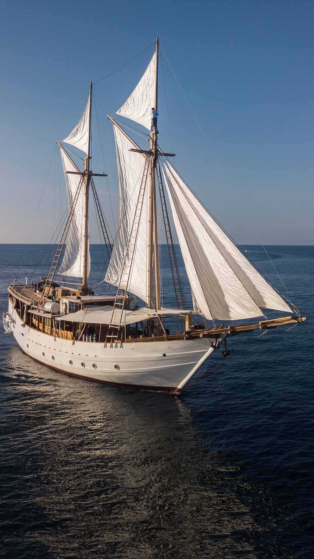 Indonesia Dive Liveaboard Alor Islands