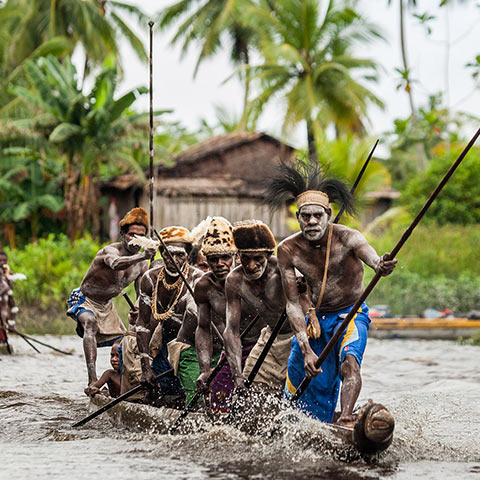 Inhabitants of the swampy mangroves