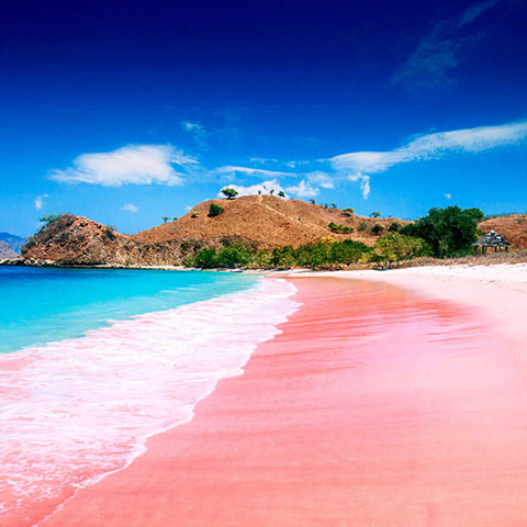 Pink Beach Komodo