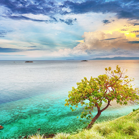Best season to do a Liveaboard in Komodo