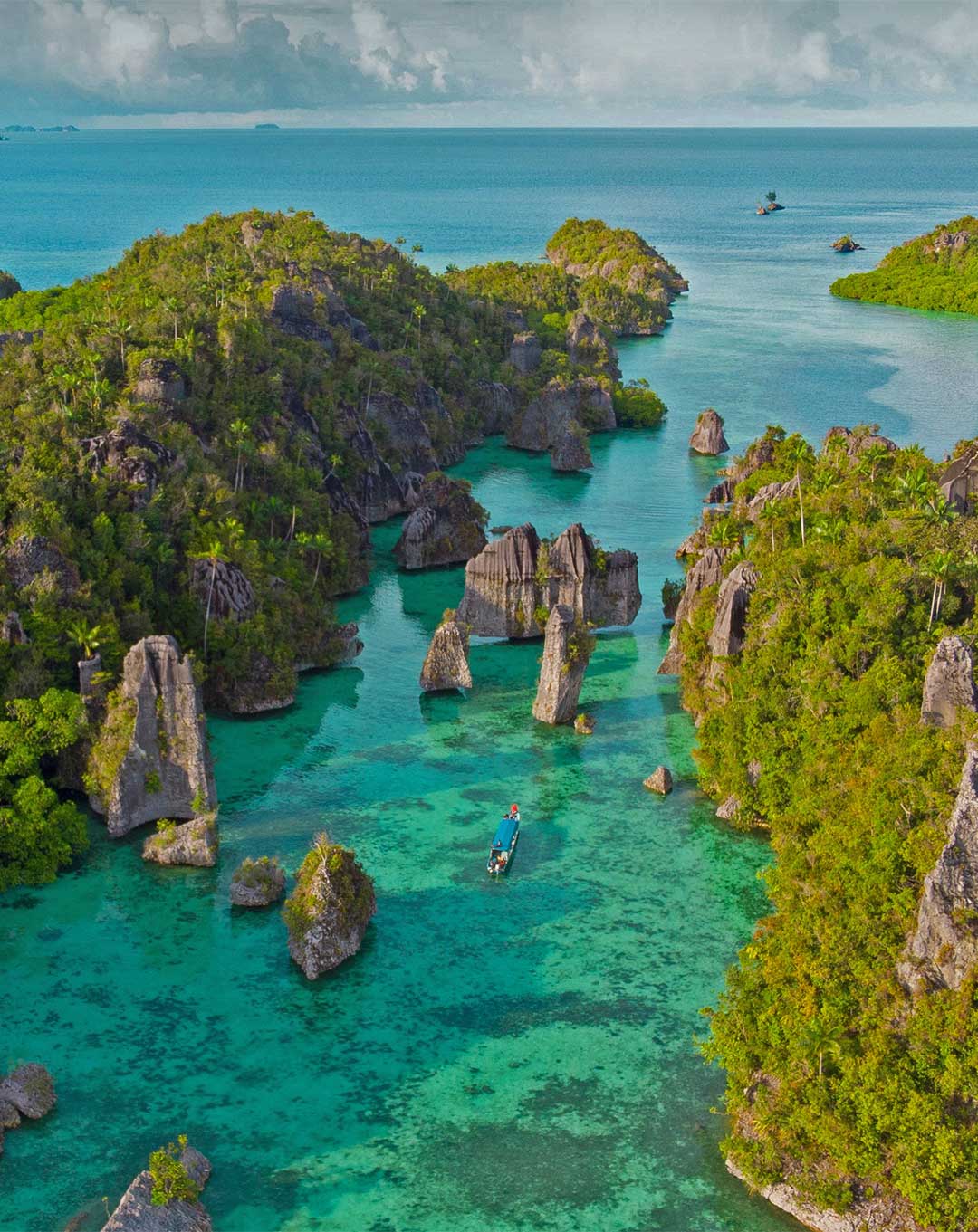 Liveaboard Misool 7 Nights