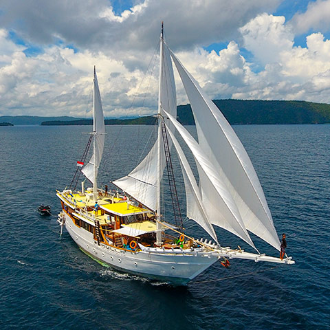 Luxury 5 Cabins Phinisi