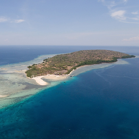 Menjangan Island