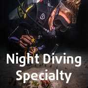 Night Diving Specialty Course