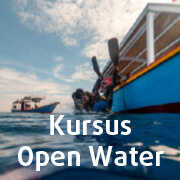 Kursus Open Water di Pemuteran