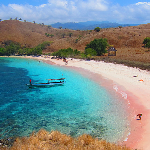 Pantai Merah Komodo