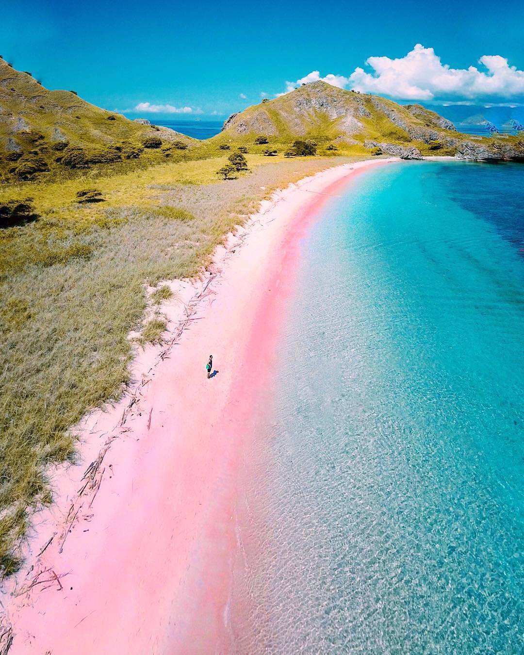 Pink Beach Komodo Island