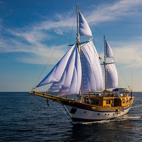 4 Cabins Phinisi ideal for Family and friends