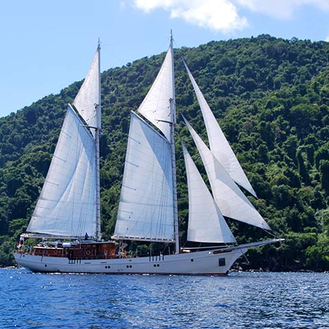 Luxury 7 Cabins Phinisi