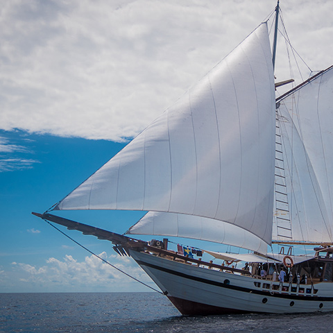 Raja Ampat Best Dive Sites Cruise