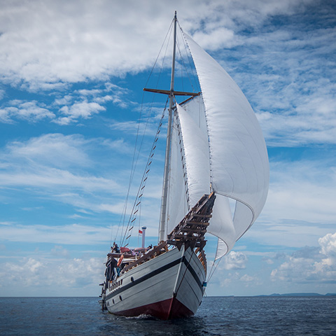 Raja Ampat Cruise