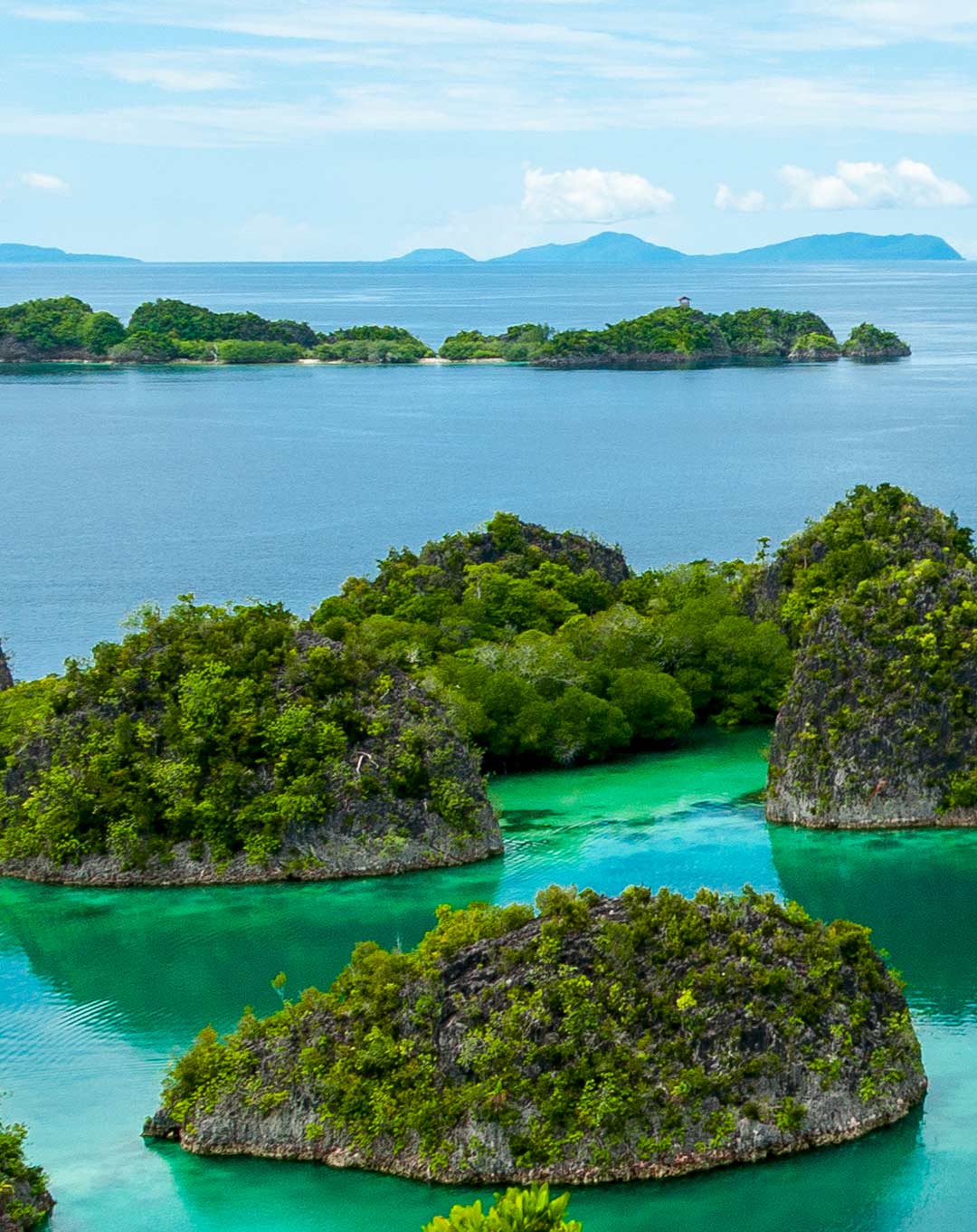 Raja Ampat Fam Islands