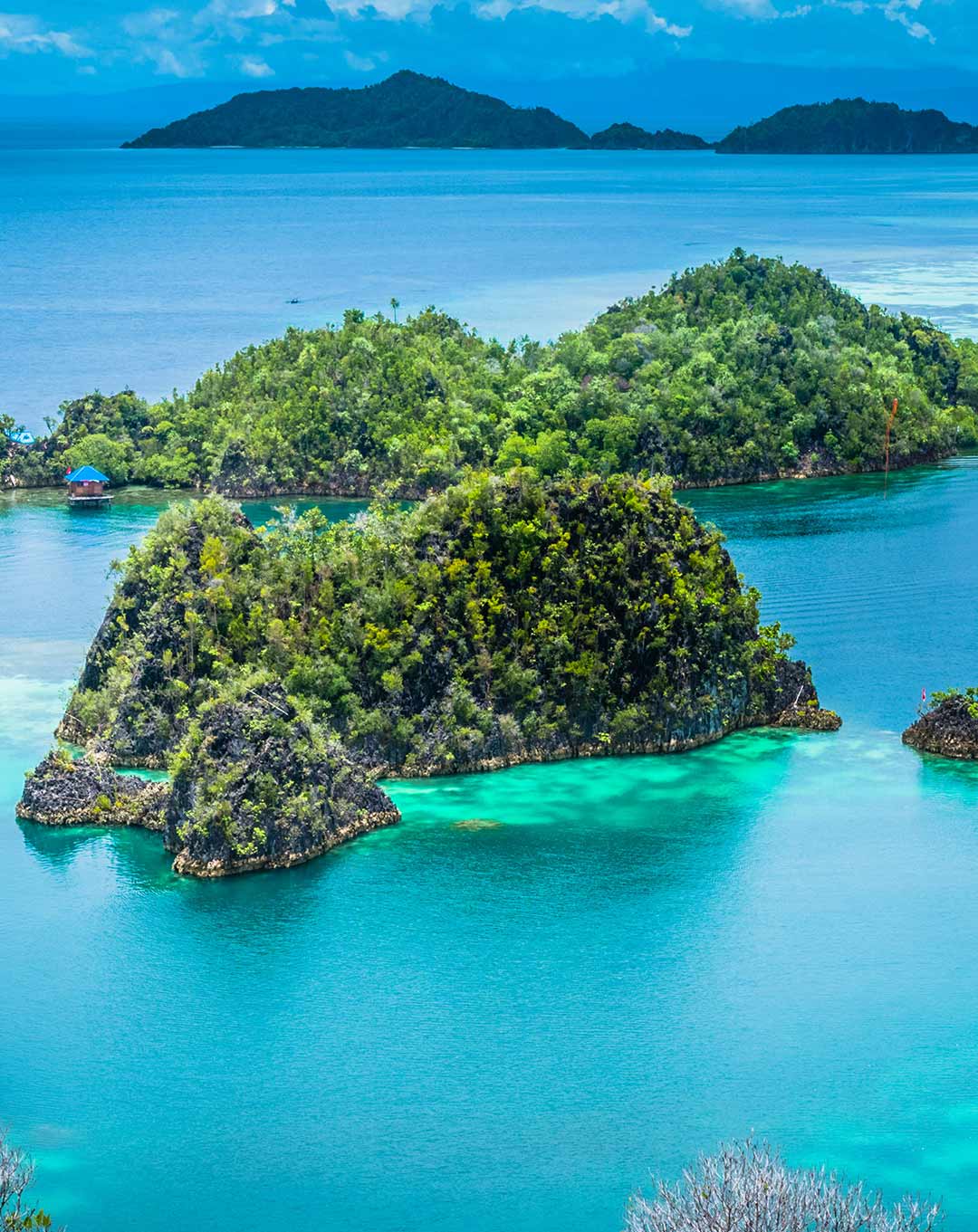 Raja Ampat Liveaboard 11 Nights