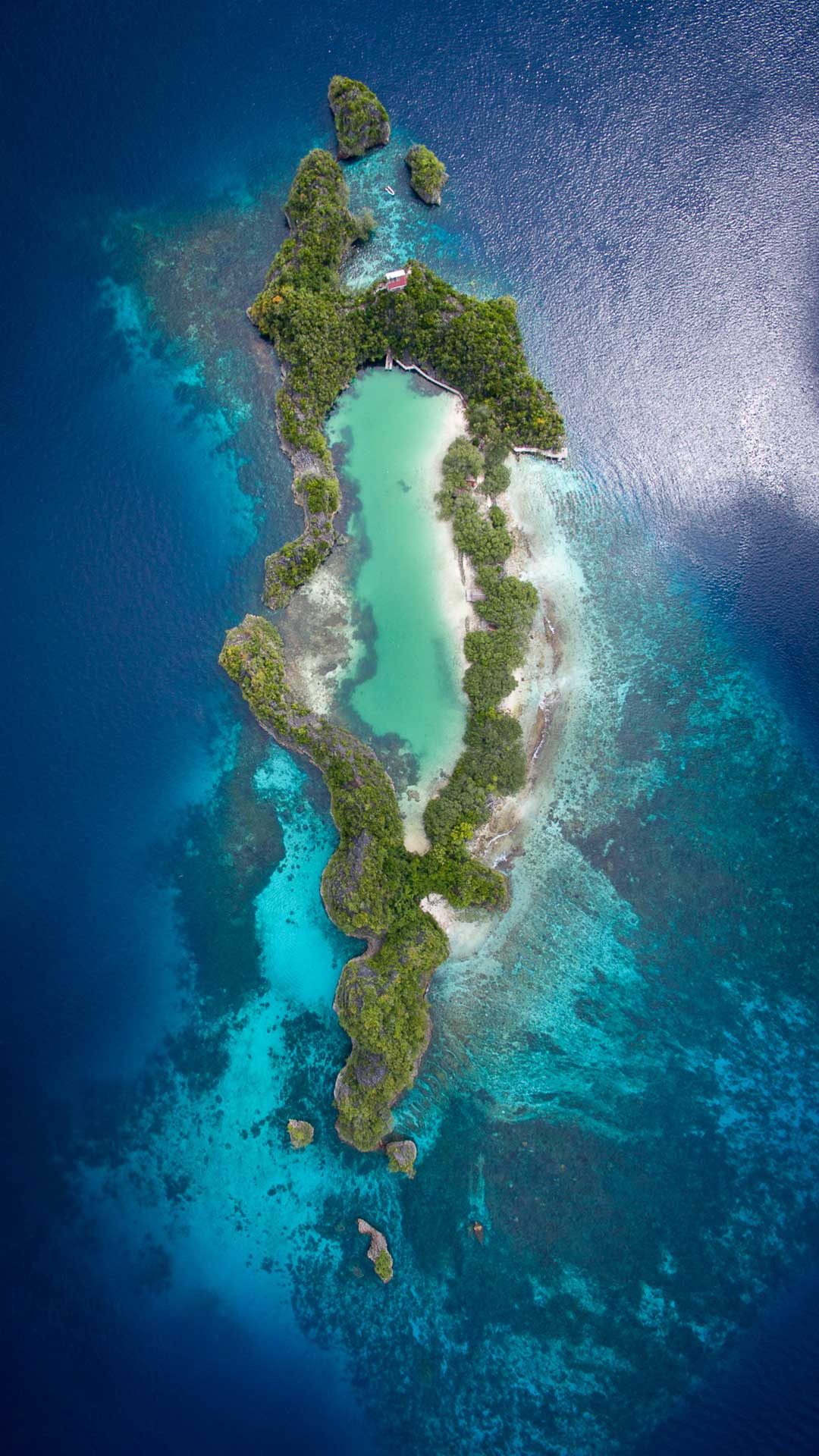 Raja Ampat Snorkeling Cruise