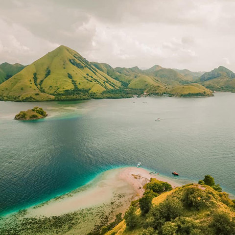 Rinca Island Home of the Komodo Dragon